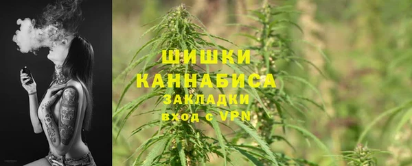 PSILOCYBIN Беломорск