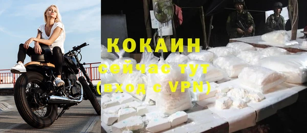 каннабис Белокуриха